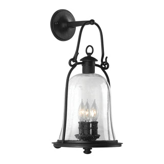 Buy natural-bronze Owings Mill Outdoor (Wet) Wall Lantern by Troy Lighting