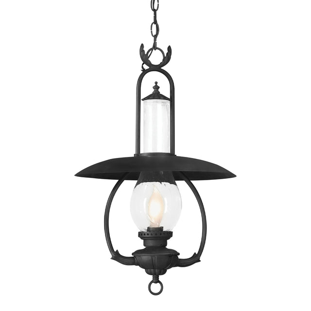 La Grange Outdoor (Damp) Hanging Lanterns by Troy Lighting