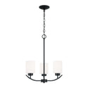 Dixon Chandelier by Capital Lighting