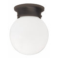 Globe Flush Mount Ceiling Light by Capital Lighting
