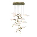 Matera Chandelier by Eurofase