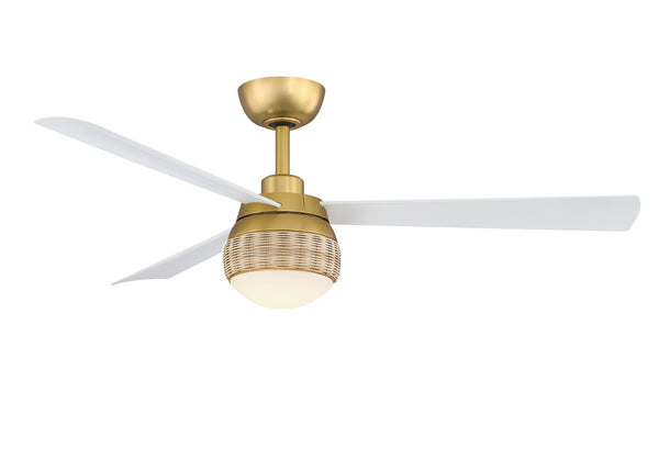 Paget Outdoor (Damp) Ceiling Fan with Light by Fanimation