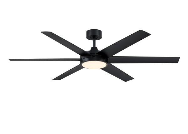 Brawn Outdoor (Damp) Ceiling Fan with Light by Fanimation