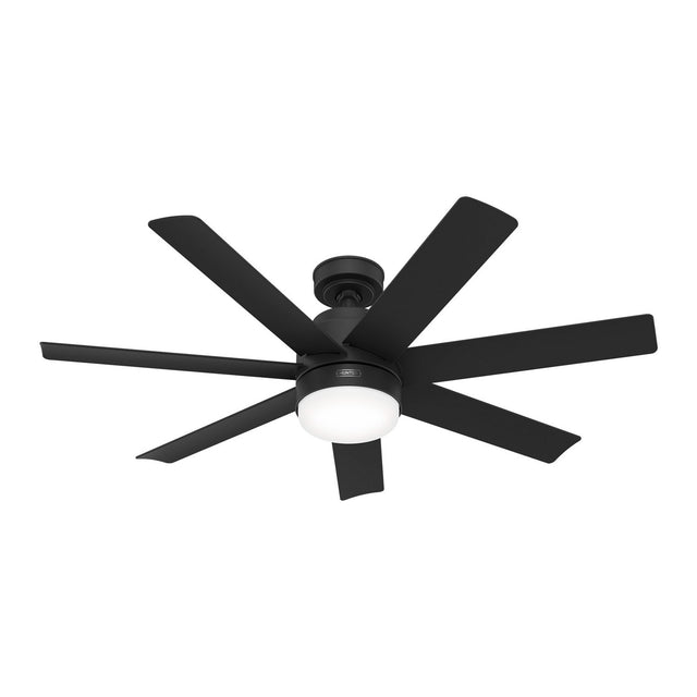 Brazos Ceiling Fan with Light by Hunter