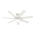 Brazos Ceiling Fan with Light by Hunter