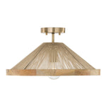 Capital Lighting-252811MA|MAIN