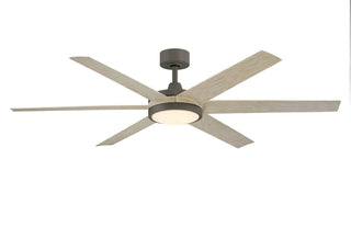 Brawn Outdoor (Damp) Ceiling Fan with Light by Fanimation