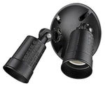 Acclaim Lighting-FL1BK|MAIN