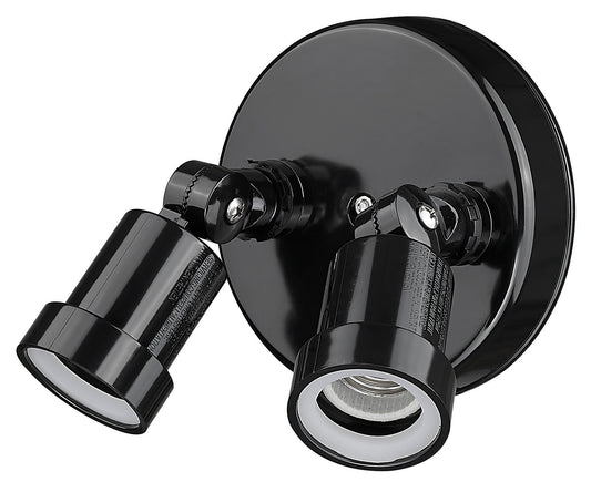 Acclaim Lighting-FL2BK|MAIN