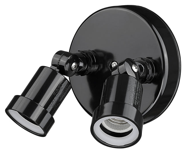 Acclaim Lighting-FL2BK|MAIN