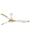 Aileron Outdoor (Damp) Ceiling Fan with Light by Hinkley