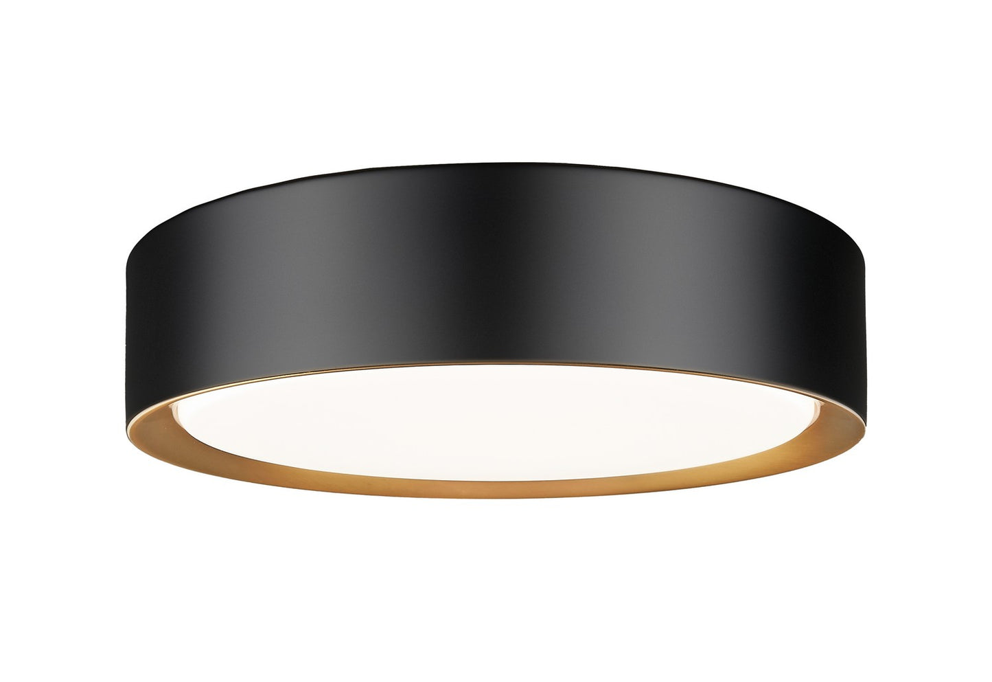 Z-Lite-1014F12-MB-MGLD-LED|MAIN