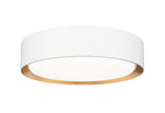 Z-Lite-1014F12-MW-MGLD-LED|MAIN
