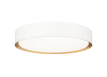 Z-Lite-1014F16-MW-MGLD-LED|MAIN