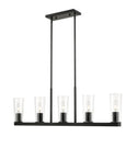 Titus Outdoor (Damp) Chandelier by Z-Lite