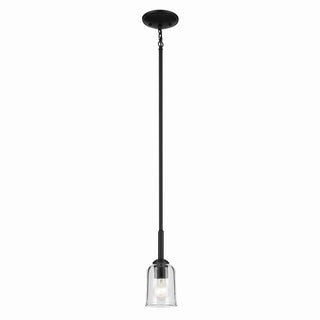 Buy black-with-clear-glass-and-clear-shade Shailene Mini Pendant by Kichler