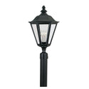 Brentwood Outdoor (Wet) Lantern by Generation Lighting