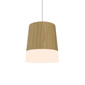 Conical Outdoor (Damp) Pendant by Accord Lighting