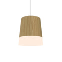 Conical Outdoor (Damp) Pendant by Accord Lighting