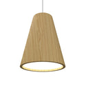 Conical Outdoor (Damp) Pendant by Accord Lighting