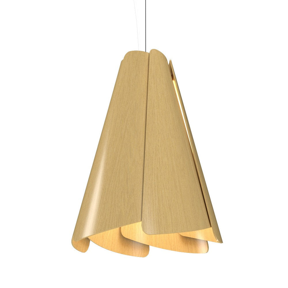 Accord Lighting-1363.49|MAIN