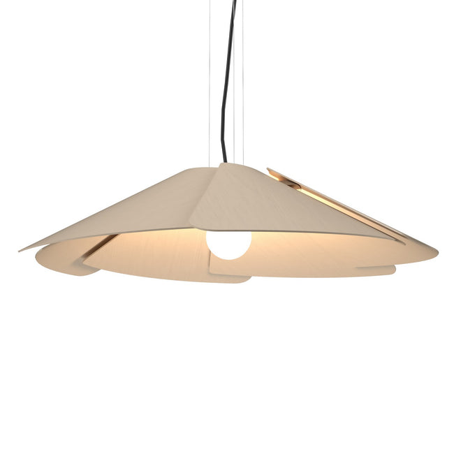 Accord Lighting-1365.48|MAIN
