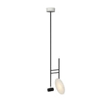 Accord Lighting-1418.47|MAIN