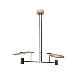 Accord Lighting-1421.48|MAIN
