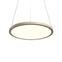 Naia Outdoor (Damp) Pendant by Accord Lighting