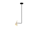 Accord Lighting-1445.48|MAIN