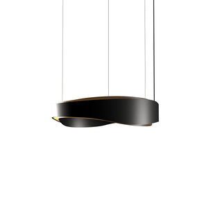 Buy organic-black-and-black-shade Horizon Outdoor (Damp) Pendant by Accord Lighting