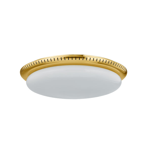 North Castle Outdoor (Damp) Flush Mount Ceiling Light by Hudson Valley