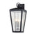 Troy Lighting-B7603-TRN image