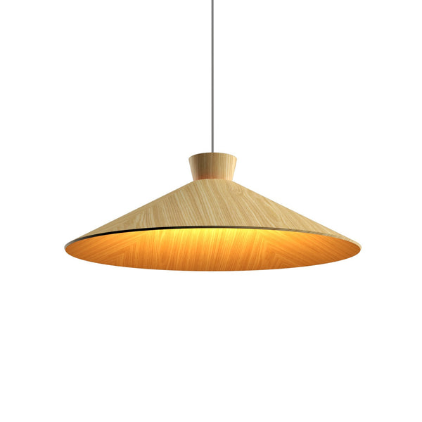 Conical Outdoor (Damp) Pendant by Accord Lighting