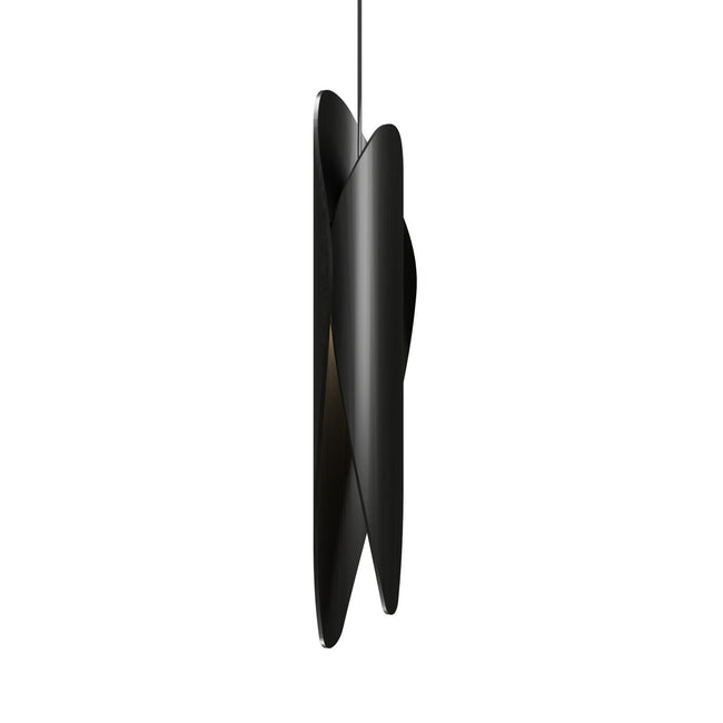 Accord Lighting-1509.44|MAIN