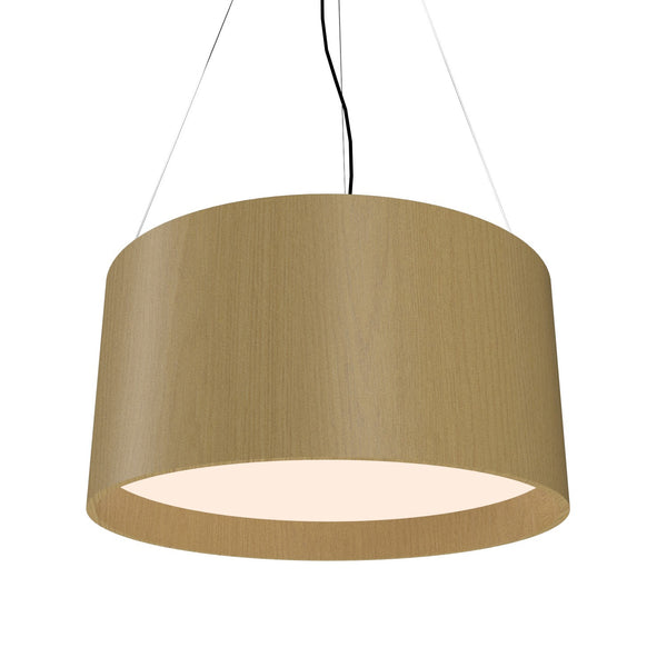 Cylindrical Outdoor (Damp) Pendant by Accord Lighting