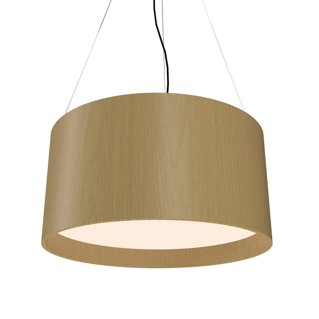Cylindrical Outdoor (Damp) Pendant by Accord Lighting
