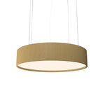 Accord Lighting-231.49|MAIN