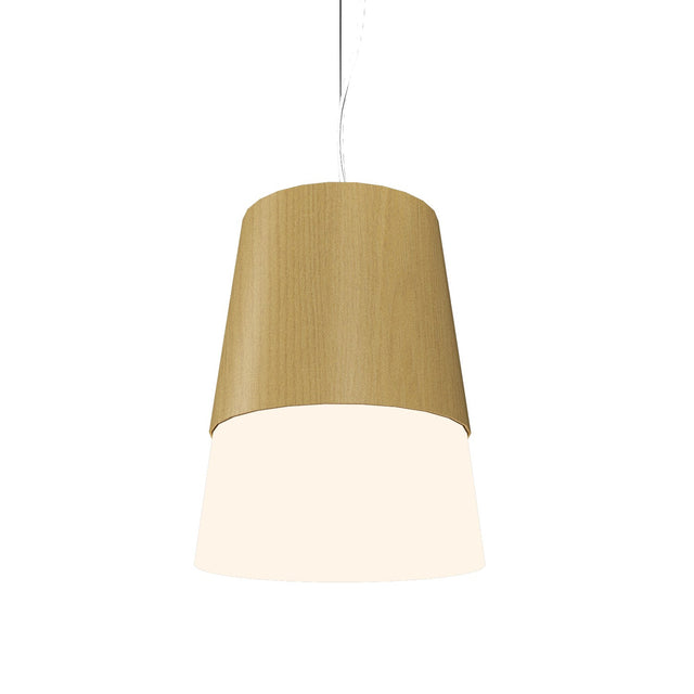 Conical Outdoor (Damp) Pendant by Accord Lighting
