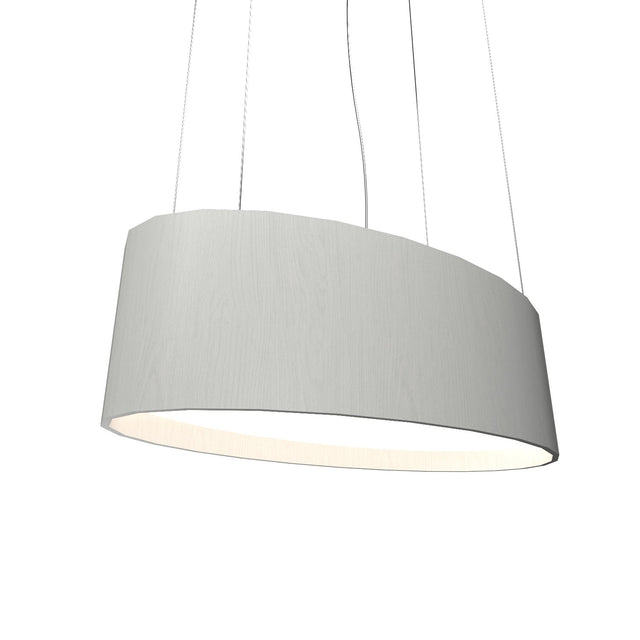 Oval Outdoor (Damp) Pendant by Accord Lighting