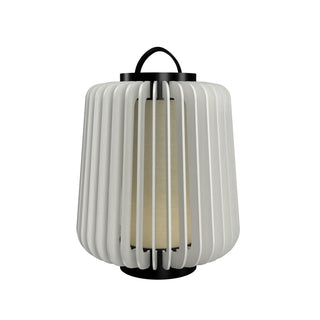 Buy organic-white Stecche di Legno Floor Lamp by Accord Lighting
