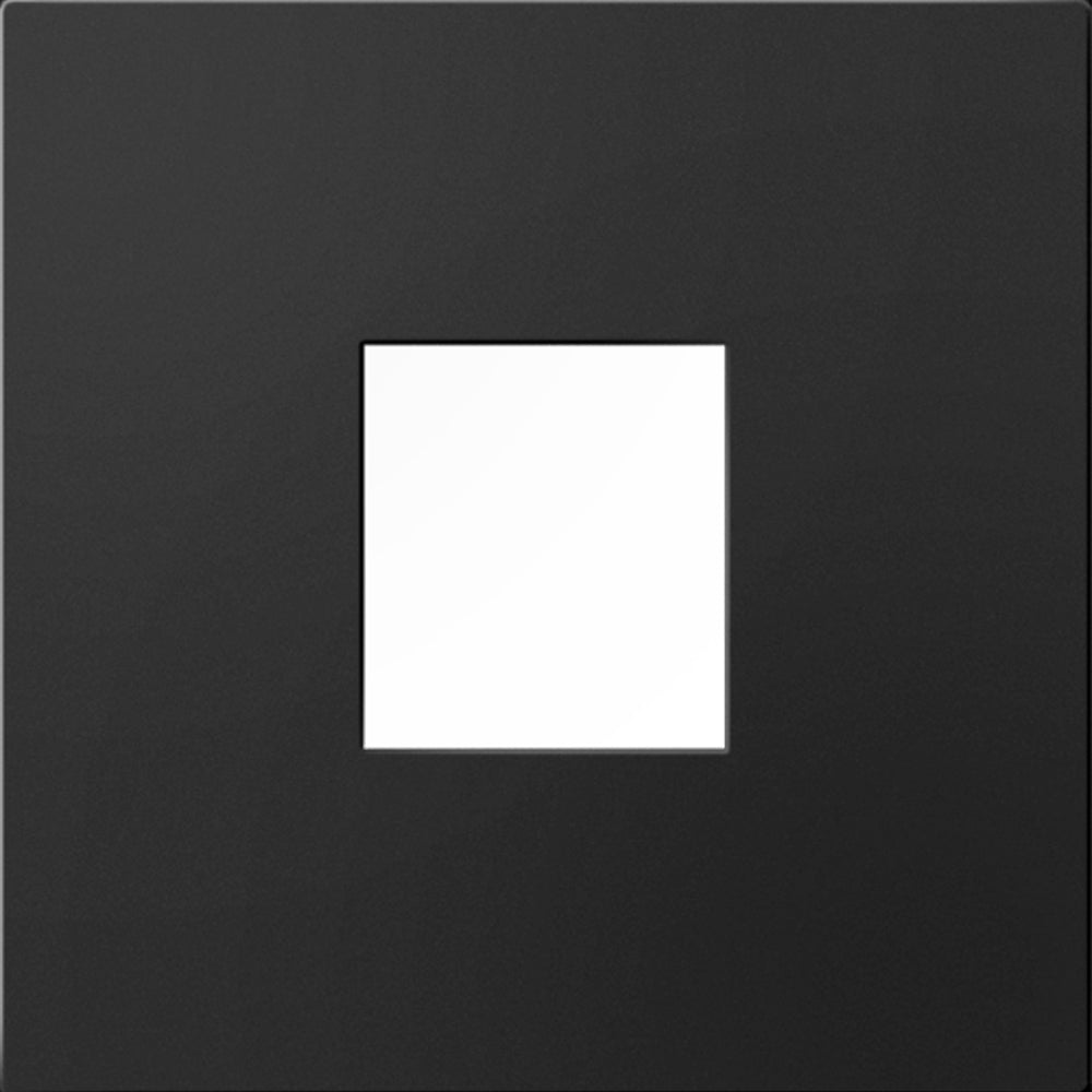 adorne 1-Port Frame by Legrand