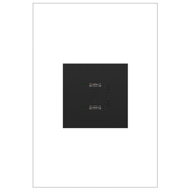 Legrand-ARUSB30PDG4|MAIN