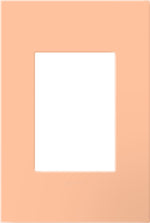 Legrand-AWP1G3PY|ALT|1