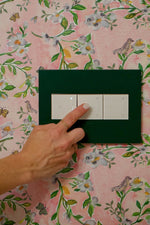 Legrand-AWP3GEG|ALT|3