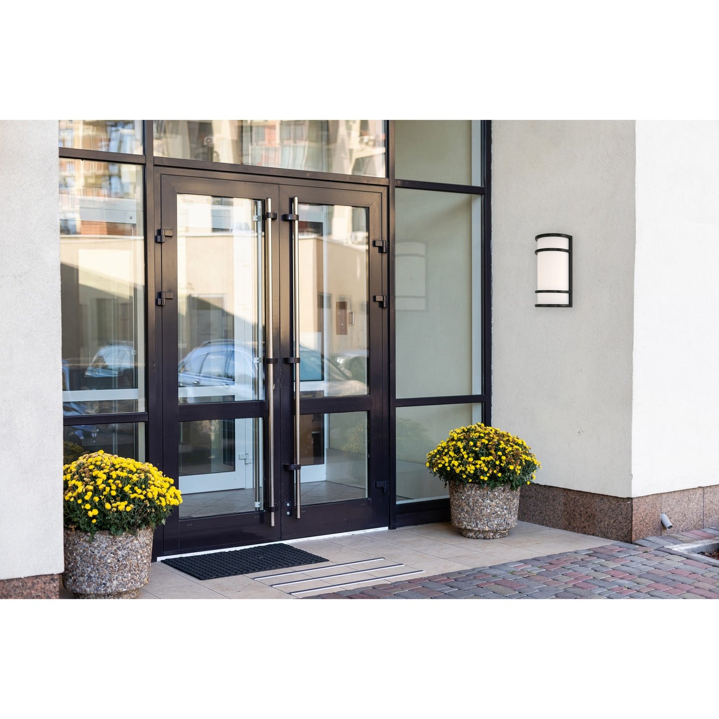 Access-20105LEDMG-BL/ACR|ALT|1