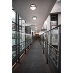 Access-20507LEDD-MBL/ACR|ALT|1
