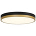 Black with Antique Brushed Brass