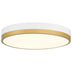 White with Antique Brushed Brass