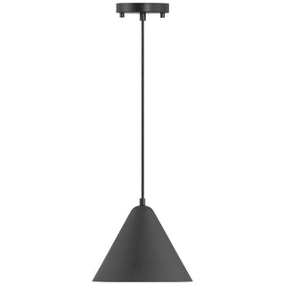 Buy matte-black Ford Outdoor (Damp) Pendant by Access
